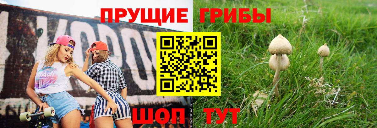 Псилоцибиновые грибы ЛСД  Вход с VPN  Сергиев Посад 